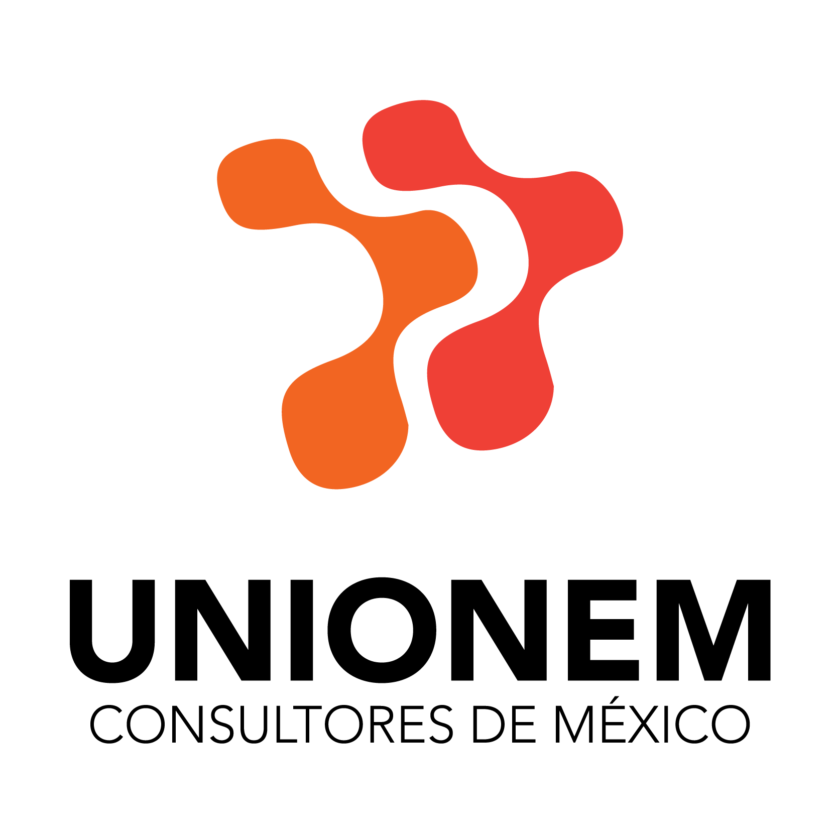 Logo UNIONEM Consultores de México
